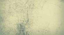 mold on kitchen wall
